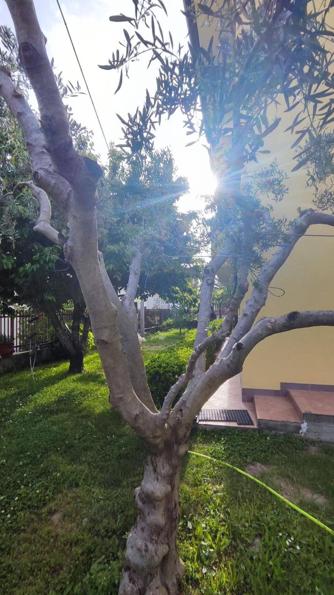 טריאסטה Casa Vacanza Serendipity Home מראה חיצוני תמונה